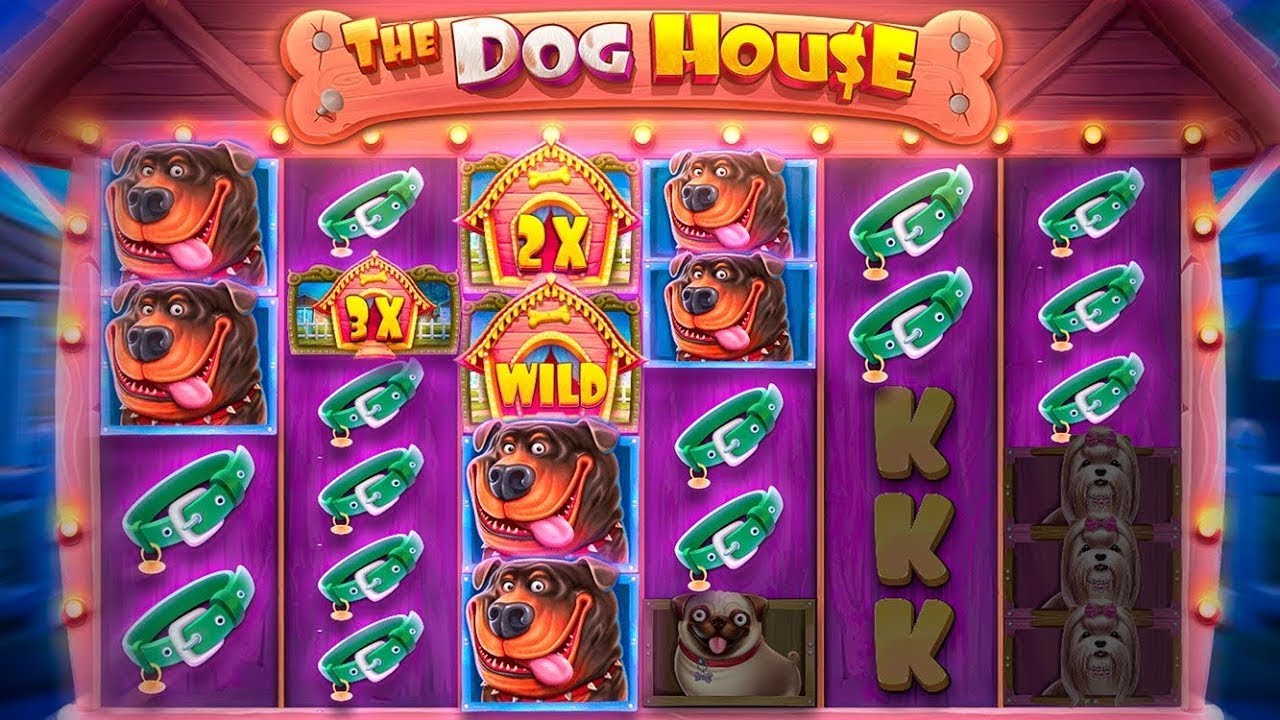 The Dog House Megaways With Cashback Canada Boosts Your Winning Edge