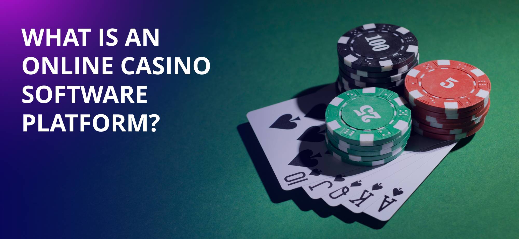 Software Developer For Casino Platforms: How To Build Winning Games