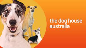 The Dog House App Australia Download Quickly and Safely