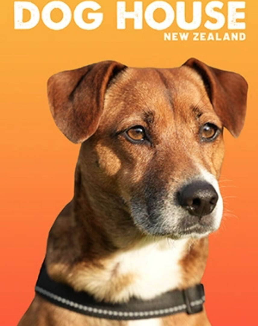 How to Install The Dog House App New Zealand APK? Step-by-Step Guide