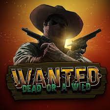 Wanted Dead or a Wild No KYC Casino: How to Play and Win in 2026