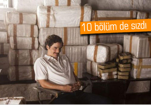 Discover How To Play Narcos Low Deposit New Zealand: Secure $100 Bonus