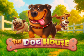 The Dog House Free Spins UK I Tried and Loved