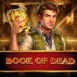 Book Of Dead Apk Download Instantly and Securely