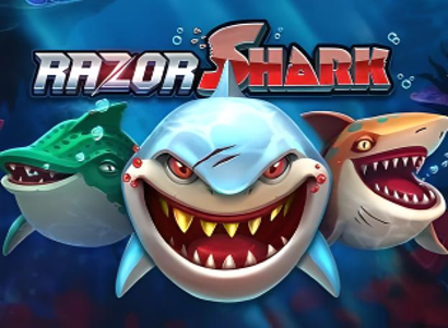 Razor Shark Review: What You Need to Know Before Playing