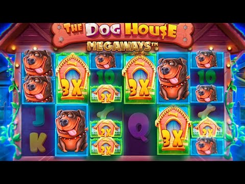 Unlock Big Wins: The Dog House Megaways Bonus Buy Insights