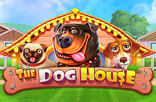 The Dog House Megaways Demo Play: Learn How to Win Big