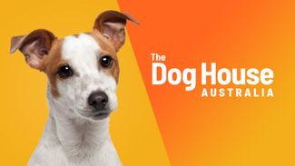 The Dog House Real Money Australia Maximize Wins With High RTP