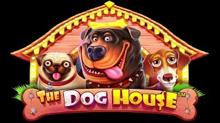 Unlock Big Wins: Play The Dog House Real Money UK Now