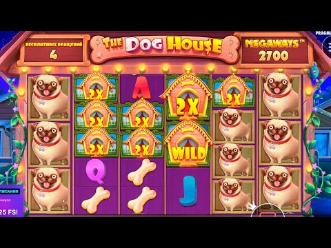 Everything You Need to Know About The Dog House vs Piggy Riches Megaways in 2026