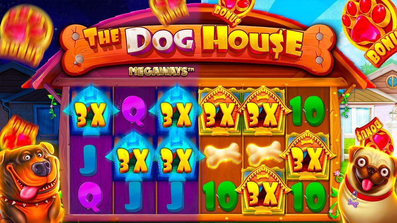 The Dog House vs The Dog House Megaways: My Personal Game Experience