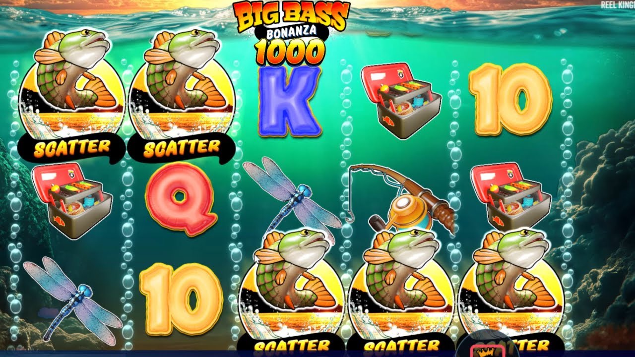 Maximize Wins: Big Bass Bonanza No Deposit Bonus New Zealand